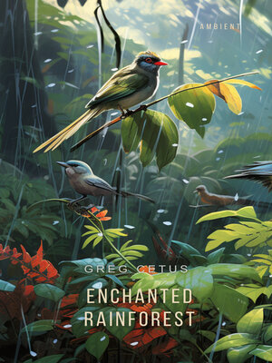 cover image of Enchanted Rainforest